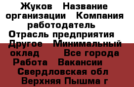 Жуков › Название организации ­ Компания-работодатель › Отрасль предприятия ­ Другое › Минимальный оклад ­ 1 - Все города Работа » Вакансии   . Свердловская обл.,Верхняя Пышма г.